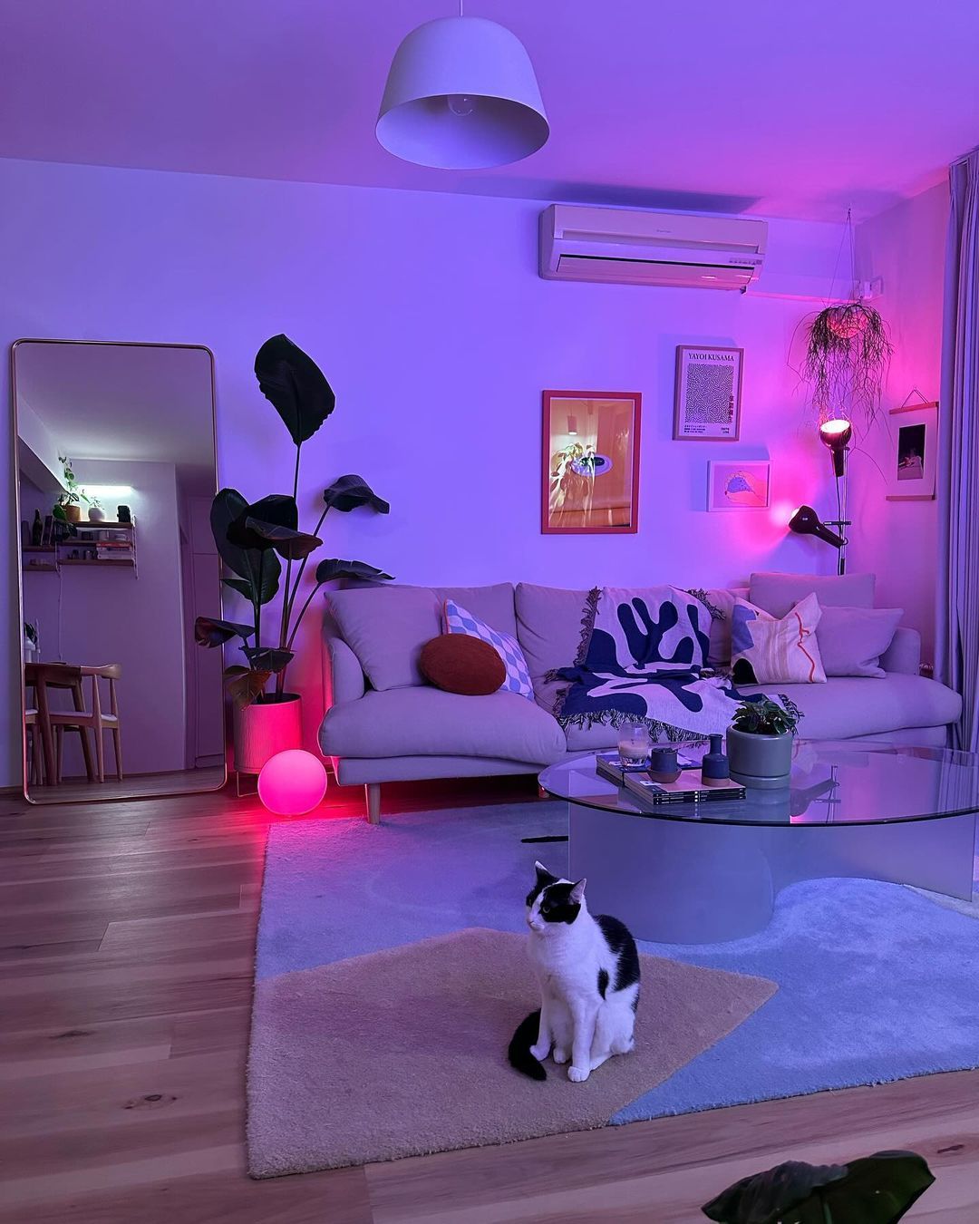 The Ultimate Dehumidifier Buying Guide